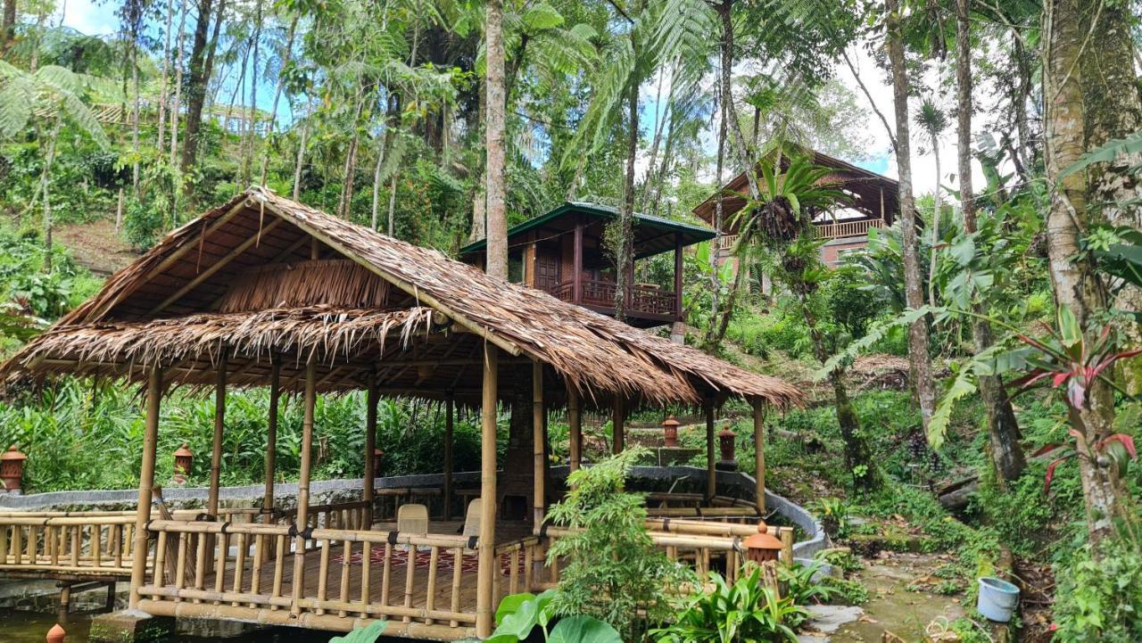 Rimba Eco Lodge Tomohon