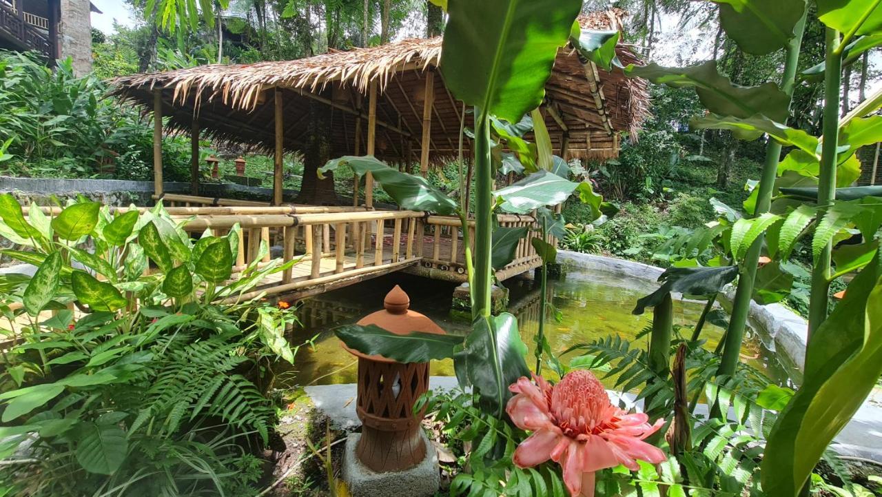 Rimba Eco Lodge
