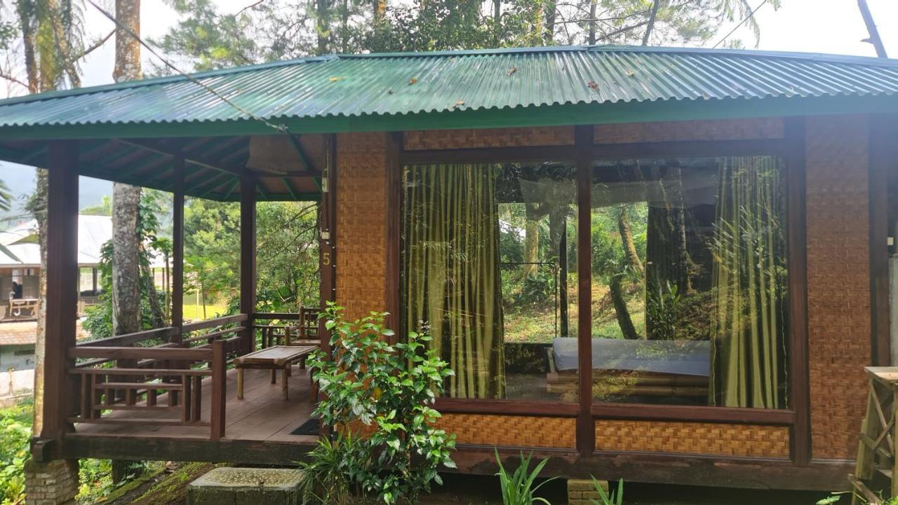 Rimba Eco *